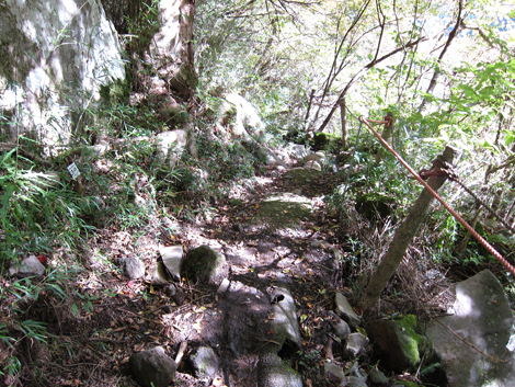 20201105hike (206)